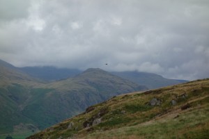The Lake District- deanysdesigns.co.uk
