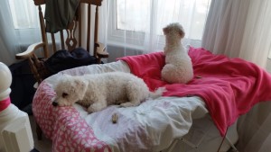Minnie and Maisie- deanysdesigns.co.uk